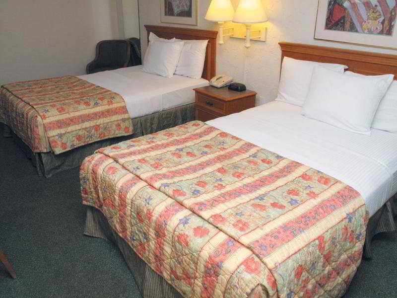 Red Roof Inn Tampa Bay - St. Petersburg Oda fotoğraf