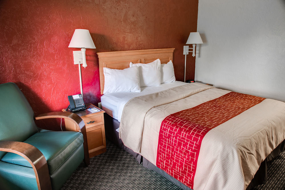 Red Roof Inn Tampa Bay - St. Petersburg Dış mekan fotoğraf